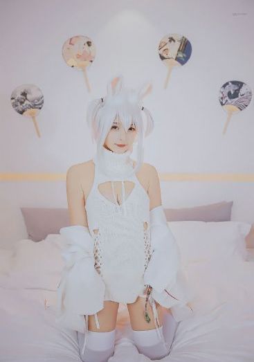 乱世妖后电视剧全集在线观看_超清全集免费观看